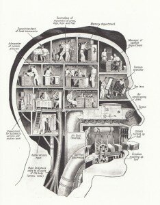 fritz kahn head